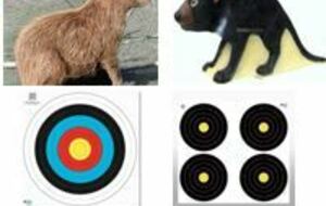 STAGE PARCOURS 17 MAI 2026